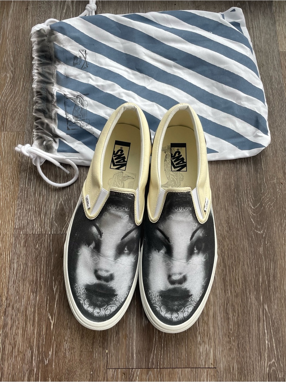 Very Rare T-Rex Global x Vans “Girl” slip on